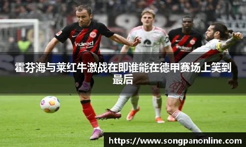 霍芬海与莱红牛激战在即谁能在德甲赛场上笑到最后