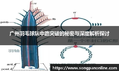 九游体育官网入口
